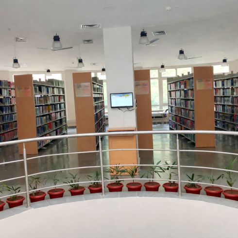 iit mandi library